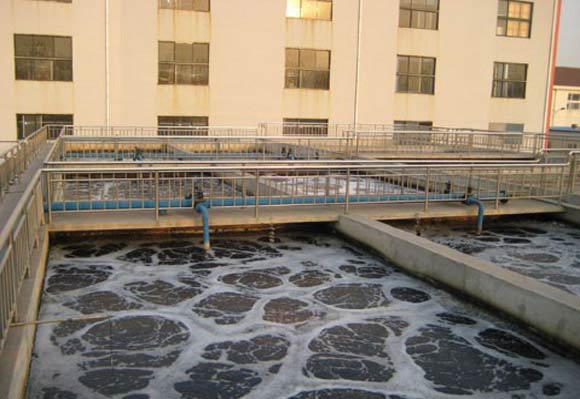 污水處理行業(yè)羅茨鼓風機 污水處理行業(yè)羅茨鼓風機