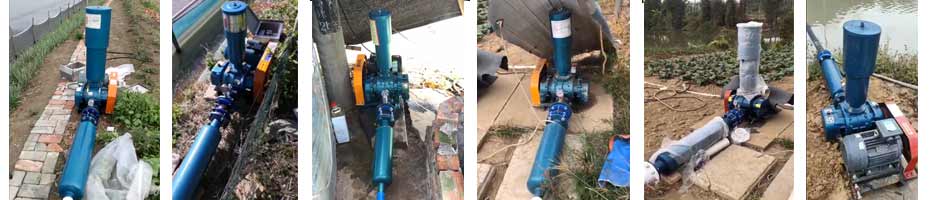 水產(chǎn)養(yǎng)殖羅茨風(fēng)機(jī)部分案例 水產(chǎn)養(yǎng)殖羅茨風(fēng)機(jī)部分案例