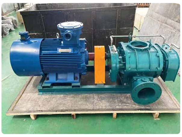 直聯(lián)傳動(dòng)羅茨風(fēng)機(jī)工廠實(shí)拍 直聯(lián)傳動(dòng)羅茨風(fēng)機(jī)工廠實(shí)拍