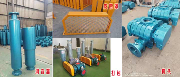 三葉羅茨風(fēng)機(jī)(皮帶型)實(shí)拍 三葉羅茨風(fēng)機(jī)(皮帶型)實(shí)拍