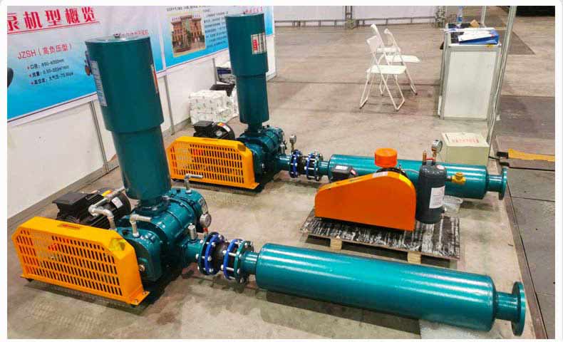 羅茨鼓風(fēng)機(jī) 羅茨鼓風(fēng)機(jī)