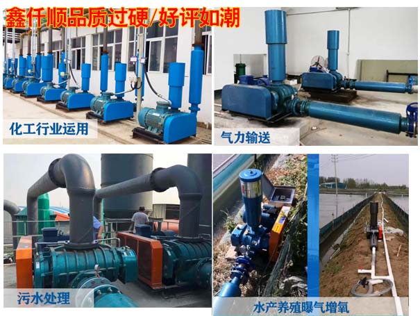 羅茨鼓風機在糧食輸送方面應用廣泛 羅茨鼓風機在糧食輸送方面應用廣泛