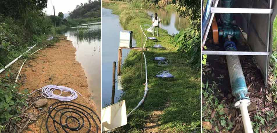 水產(chǎn)養(yǎng)殖羅茨增氧機(jī)(羅茨風(fēng)機(jī)) 水產(chǎn)養(yǎng)殖羅茨增氧機(jī)(羅茨風(fēng)機(jī))